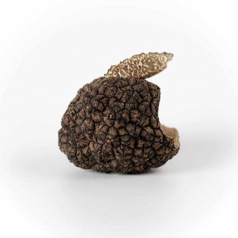 4 OZ OF EXTREMELY FRESH BLACK SUMMER TRUFFLES | EXPRESS SHIPPING WORLDWIDE THERMOREGULATED DIRECTLY FROM THE FOREST OF ALBA-ITALY | NONSTOP | UP TO 80% MORE OF SHELF-LIFE TO YOUR TRUFFLES