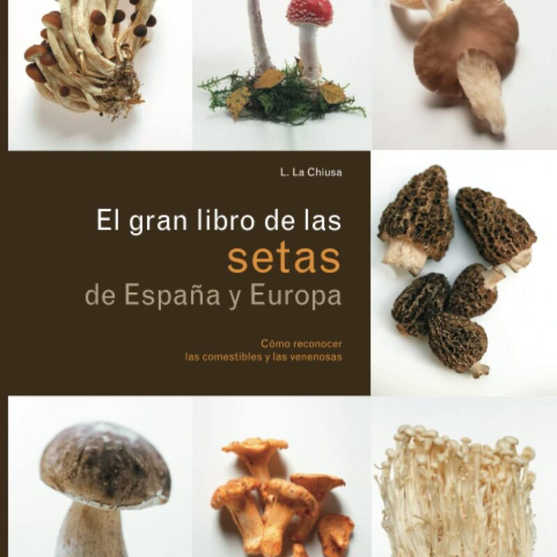 El gran libro de las SETAS de España y Europa (Spanish Edition)