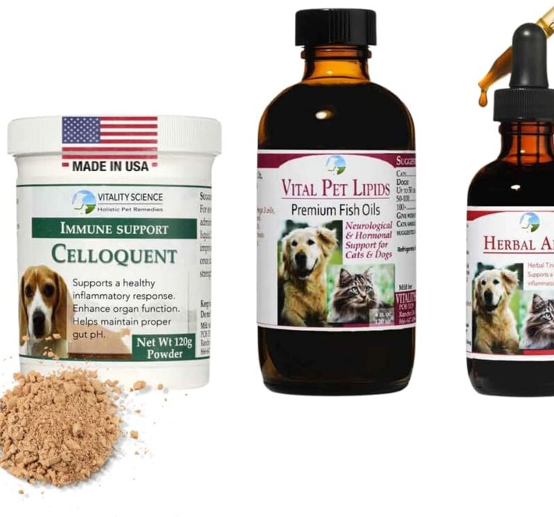 Advanced Immune Restoration Supplements for Dogs | Intense Regeneration Protocol | Helps with Pain Relief (Large)