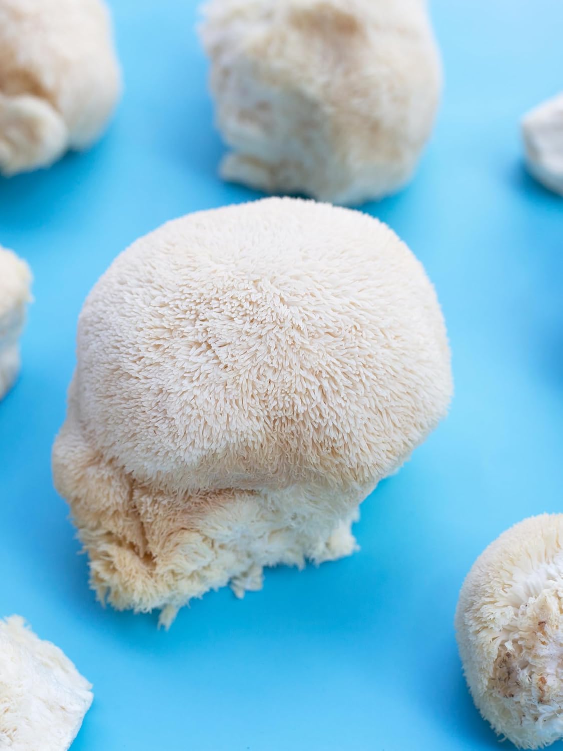 71xtRkOM4L._AC_SL1500_.jpg 70 Gram Pint Glass Jar | CLEAN and Pure Lion's Mane Shroom Powder | USDA Organic| From Fruiting Bodies | Vacuum Sealed | 25 Year Shelf Life Zero Fillers or Junk | for Capsules or use as food Additive - Image 8