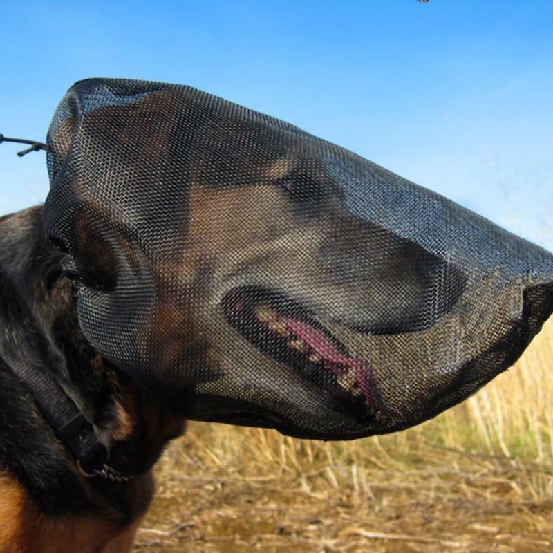 OutFox Field Guard Size XS - Vet-Recommended Dog Safety Mask for Foxtails, Grass Seeds, Bugs and Debris | Breathable, Lightweight, Patented Design | Multiple Sizes