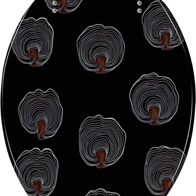 Elongated Toilet Seat Lacquered Tinder mushroom lacquered seamless pattern black Art Resin Toilet Seat with Cover Easy to Install Quietly Close Quick Release Hinges Decorative