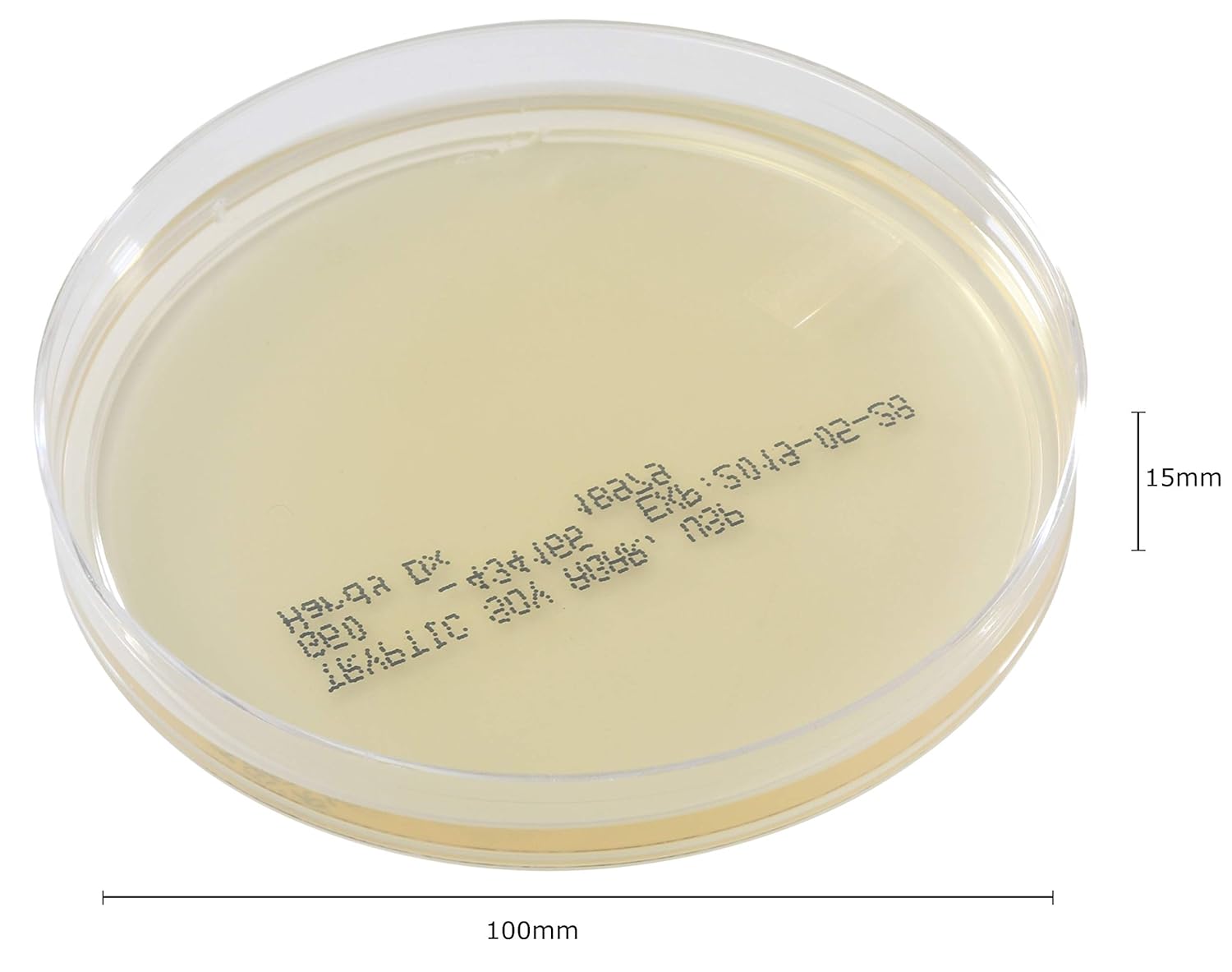 71ScunLguoL._SL1500_.jpg Tryptic Soy Agar (TSA), USP, a General Growth Medium for Microorganisms, 15x100mm Plate, Order by The Box of 100, by Hardy Diagnostics - Image 2