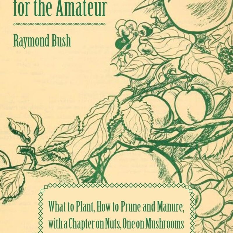 Soft Fruit Growing for the Amateur - What to Plant, How to Prune and Manure, with a Chapter on Nuts, One on Mushrooms and Another on Composting