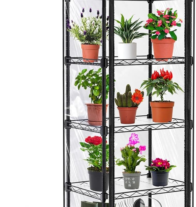 Abimars 5-Tier Mini Greenhouse with Caster Wheels, Each Shelf Height Adjustable Metal Plant Shelf with PVC Cover for Seed Starting Trays, Seedling Pots, Plant Pots, 11x16x57inch