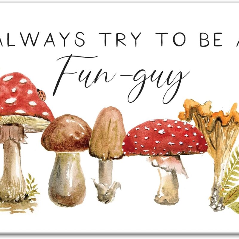Creative Products Try Be Fun Guy Mishroom 18 x 12 Canvas Wall Art
