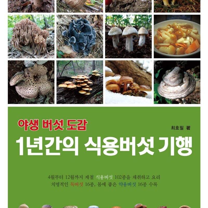 Wild Mushroom Book-1 Year Edible Mushroom (Korean Edition)