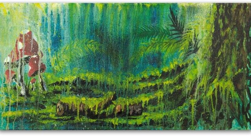 Trademark Fine Art Michelle Faber 'Forest Mushrooms'