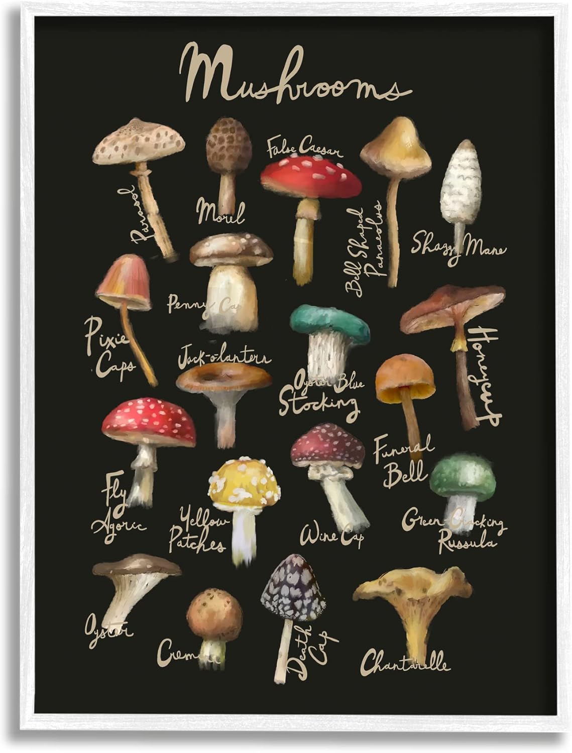 71mgb5KmgcL._AC_SL1500_.jpg Stupell Industries Varied Mushrooms Kitchen Chart Framed Giclee Art, Design by Amylee Weeks