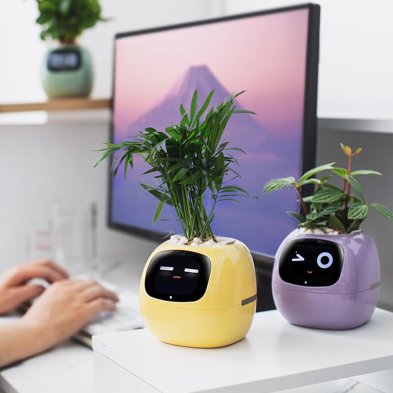 71yoaw0IsEL._AC_SL1500_.jpg Smart pet Planter Robot Guidance on Plant Care with Emojis, Adorable Plant Companion with Rich Gesture Interaction, Neat Desk Setup Gift (White) - Image 7