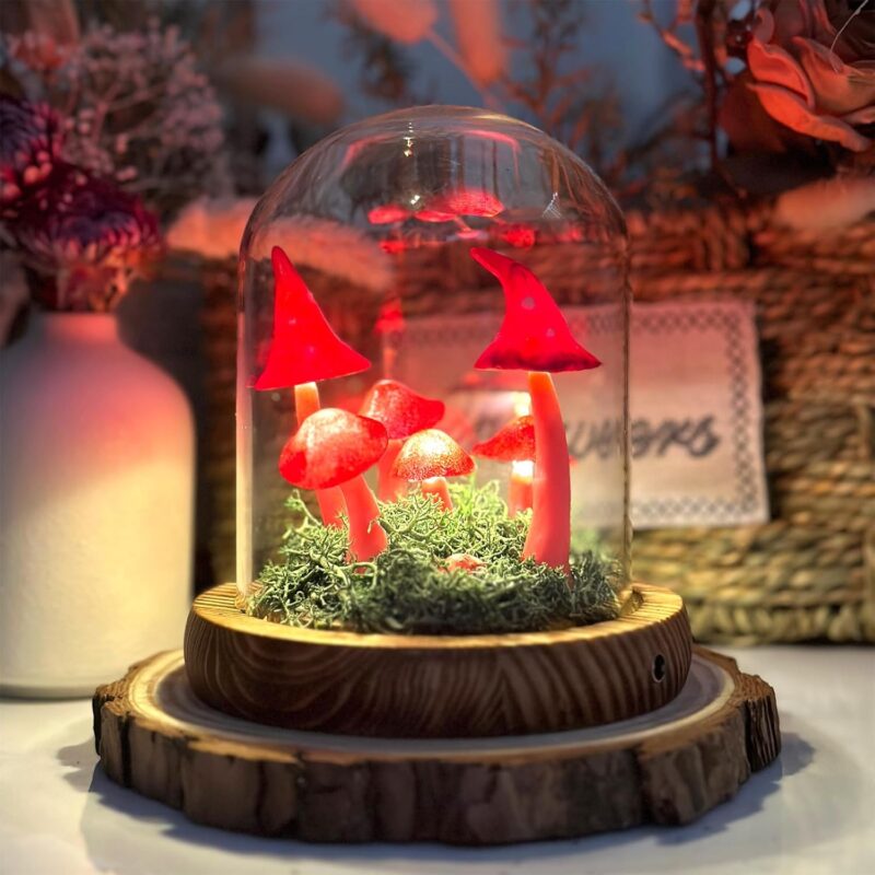 Mushroom Lamp, Decor LED Light in Glass Dome with Base for Home Bedroom Decor Birthday with Birthday Valentines Anniversaries Gifts Box (RED2)