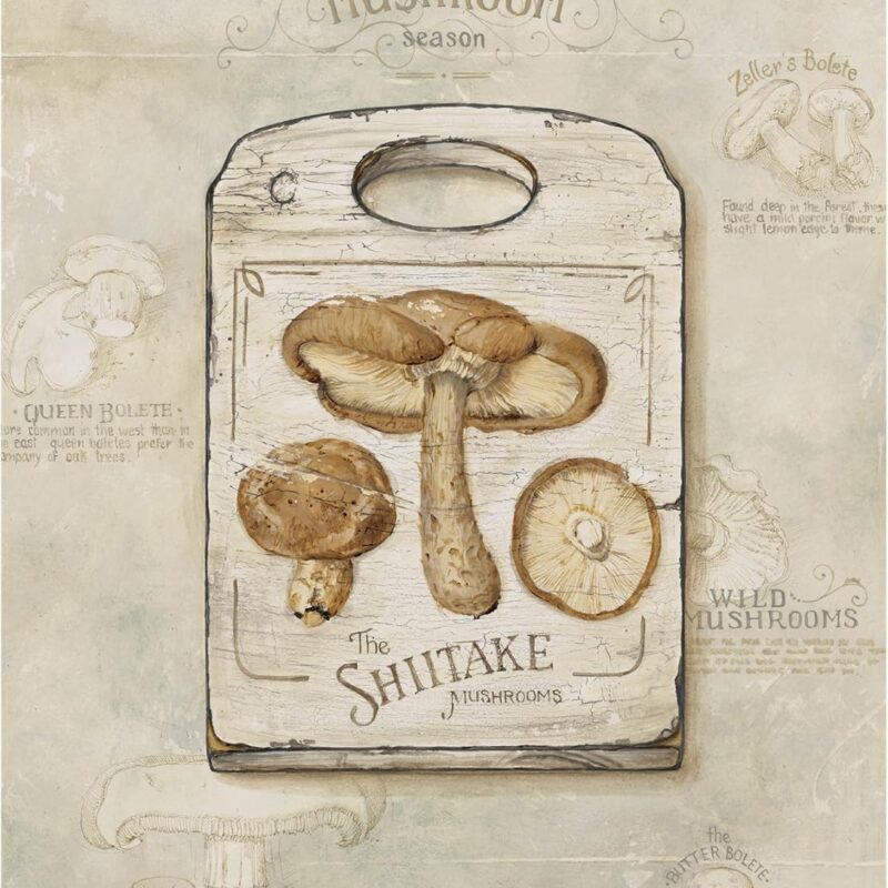 Mushrooms by Lisa Audit, 24x32-Inch
