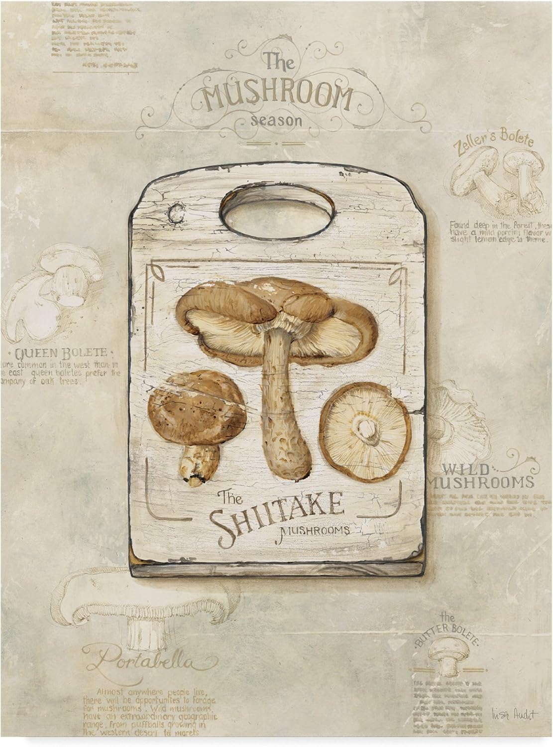 810y4eS0zdL._AC_SL1500_.jpg Mushrooms by Lisa Audit, 24x32-Inch