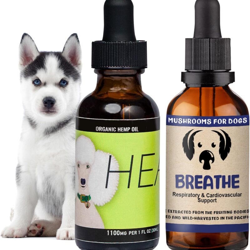Dog Respiratory Duo: Heal Hemp Oil for Dogs Respiratory & Immune Support | MycoDog Breathe Mushroom Extract Respiratory Support with Reishi Mushroom, Chaga, Cordyceps Mushroom