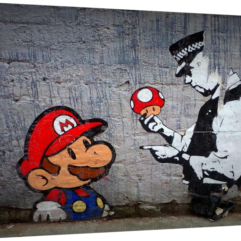 Jaxson Rea "Mario's Mushroom Gallery Wrapped Canvas by, 60" x 40"
