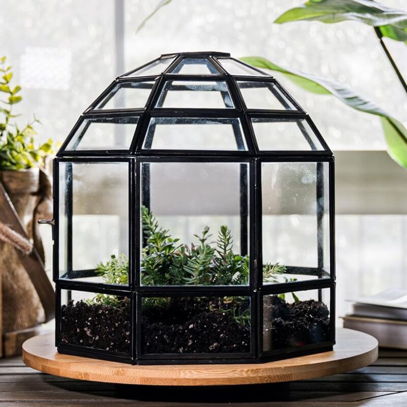 Handmade Birdcage Large Glass Terrarium — 10" x 9" x 9" (Black)