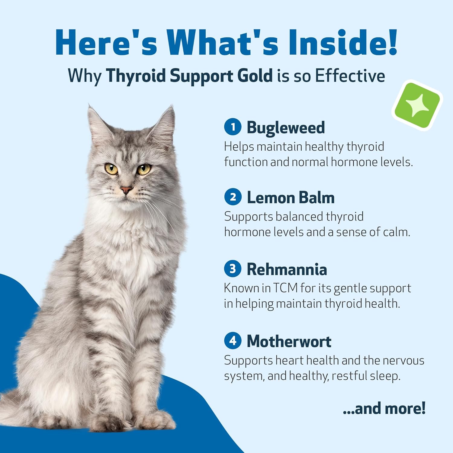 818QptwjymL._AC_SL1500_.jpg Pet Wellbeing Thyroid Support Gold for Cats - Supports Healthy Thyroid Gland Function in Cats, Normal Metabolism, Bugleweed, Lemon Balm - Veterinarian-Formulated Herbal Supplement 2 fl oz (59 ml) - Image 6