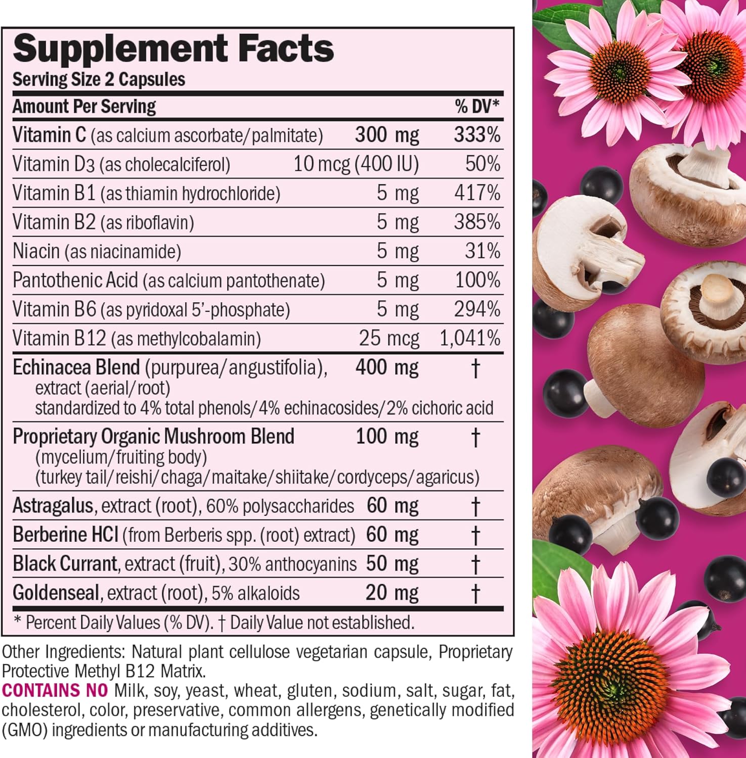 81A-lkp1KJL._AC_SL1500_.jpg ANDREW LESSMAN Immune Factors 360 Capsules – Echinacea, Goldenseal, Vitamin C, Astragalus, Berberine, Mushroom Blend, Black Currant. Supports and Promotes Immune System and Natural Defenses - Image 2