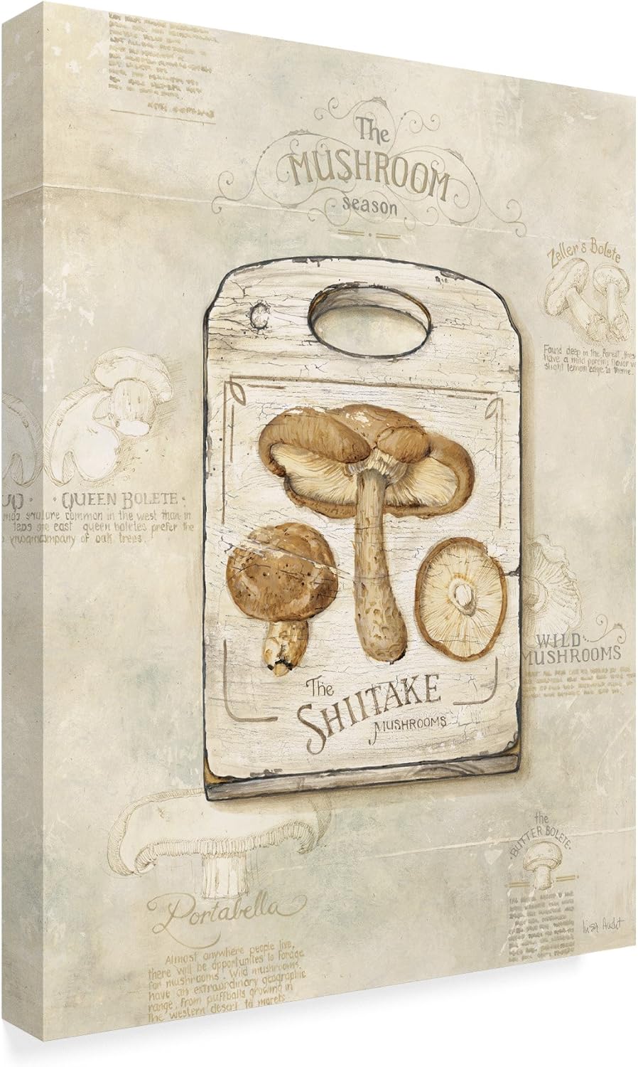 81CkXouBFwL._AC_SL1500_.jpg Mushrooms by Lisa Audit, 24x32-Inch - Image 2