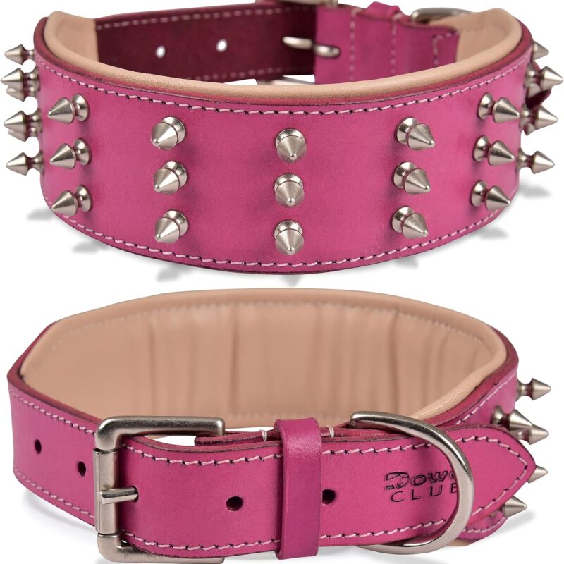 | Genuine Leather Spike Dog Collar | Full Grain, Heavy Duty | Comfortable, Strong, Best for Medium, Large, XL Breeds | 2" Wide (L (Fit Neck 18.5"-22.5"), Pink with Silver Spikes)