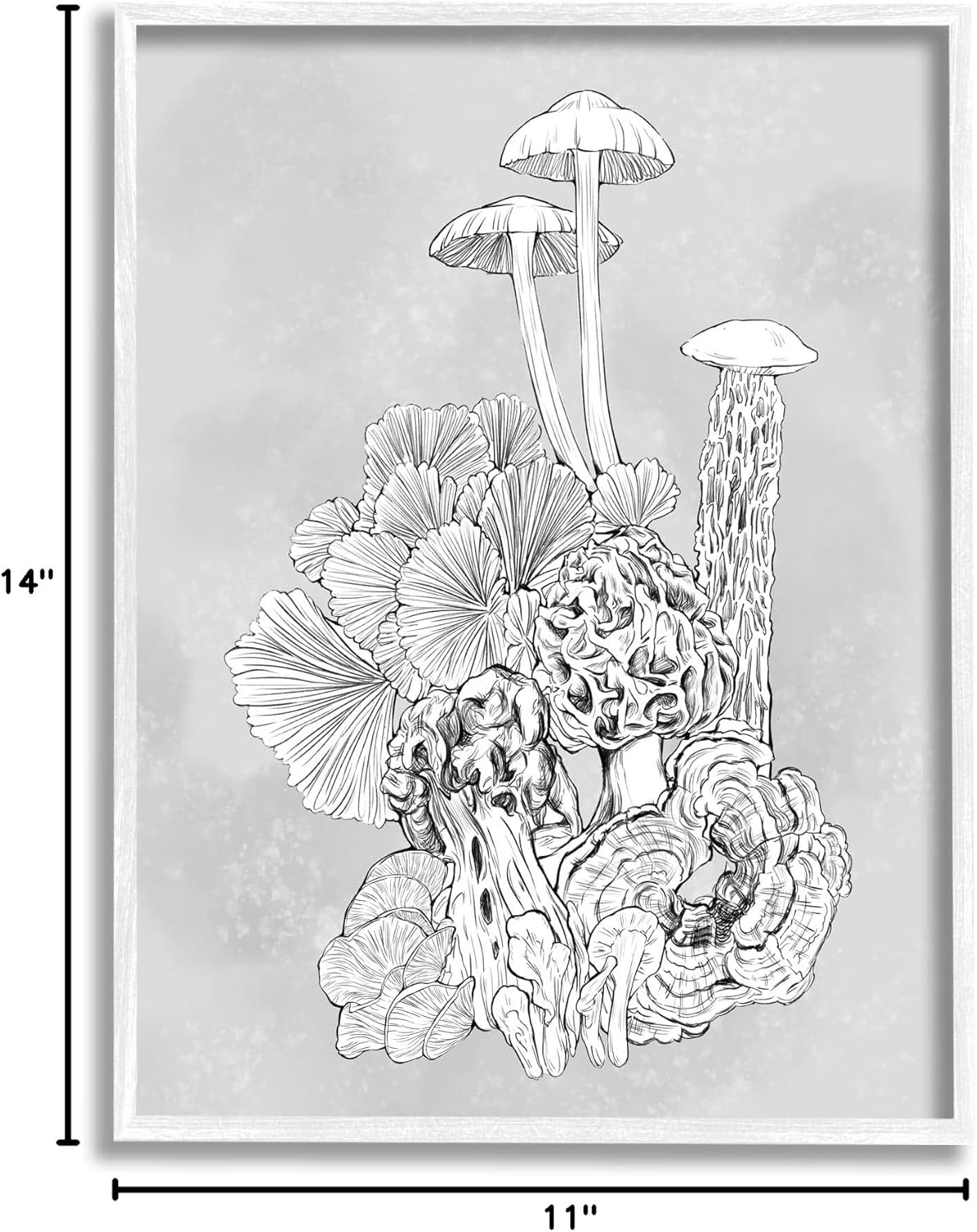 81GkwFoPBEL._AC_SL1500_.jpg Stupell Industries Detailed Botanical Drawing Mushroom Proliferate Plant Study, Design by Ziwei Li - Image 8