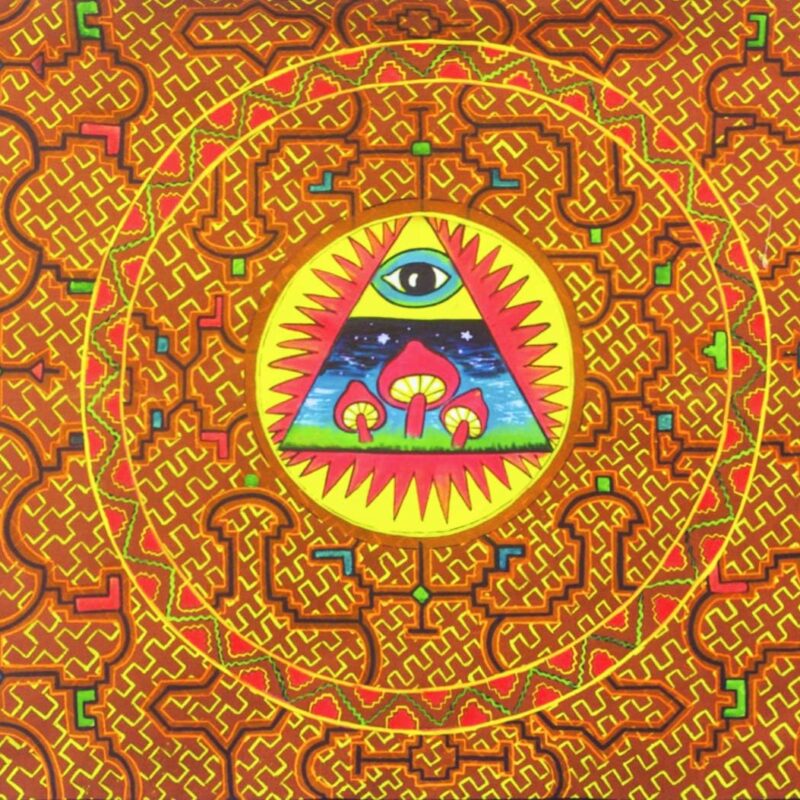 Illuminati Ayahuasca UV Painting 35x24inch/60x90cm Magic Mushroom DMT