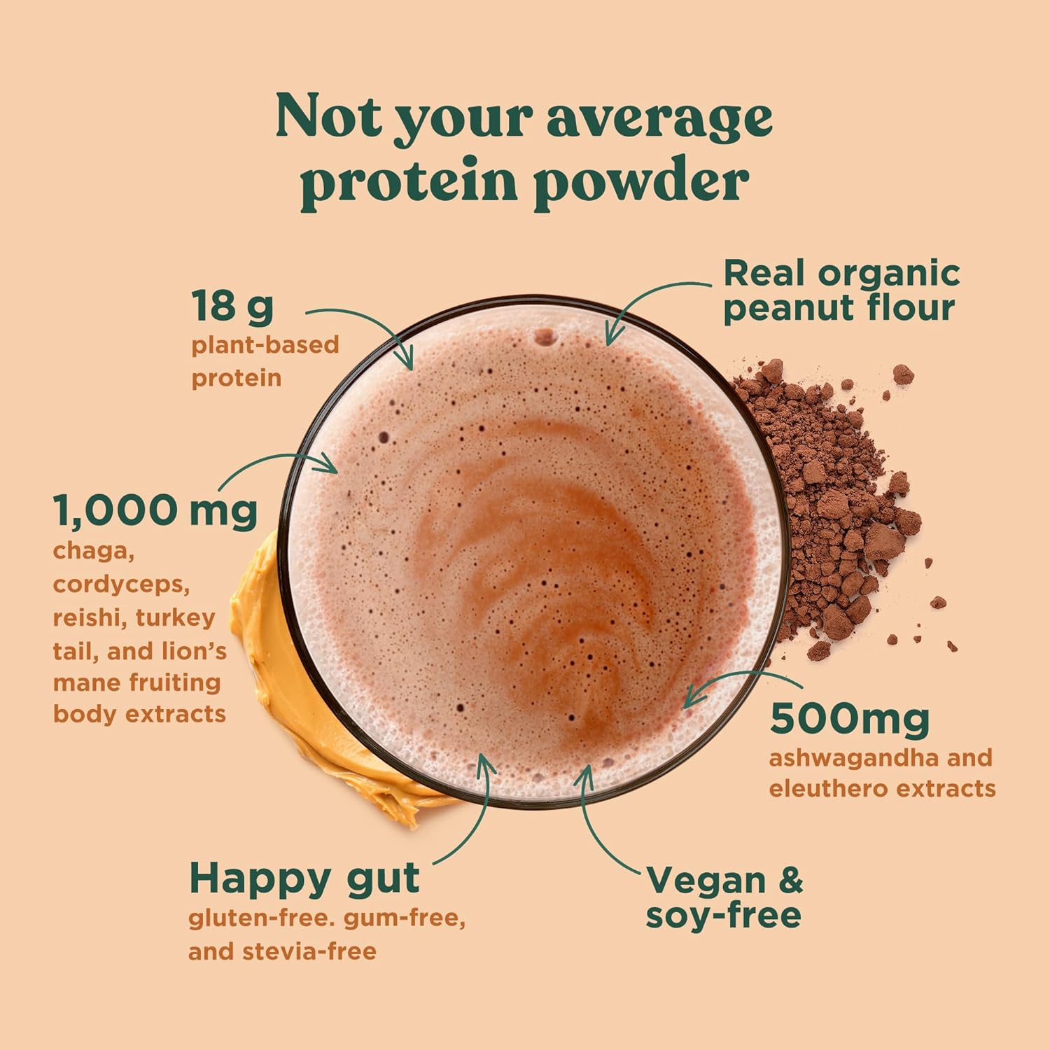 81i0JHwpFQL._AC_SL1500_.jpg Four Sigmatic Organic Plant-Based Protein Powder with Lion’s Mane, Chaga, Cordyceps and More | Clean Vegan Protein Elevated for Brain Function and Immune Support | Peanut Butter and Creamy Cacao Flavors | 21.16 oz Each - Image 4