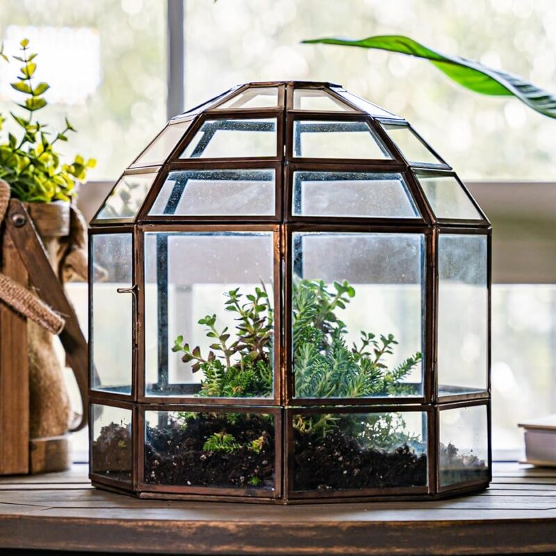 Handmade Birdcage Large Glass Terrarium Bronze Color Dimensions 10" x 9" x 9"