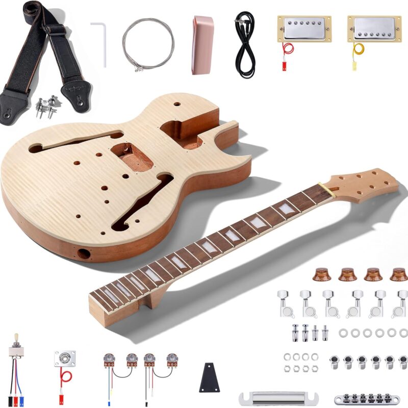Leo Jaymz DIY Single Cut Electric Guitar Kits with Mahogany Body and Neck - Rosewood Fingerboard and All Components Included (LP Hollow)