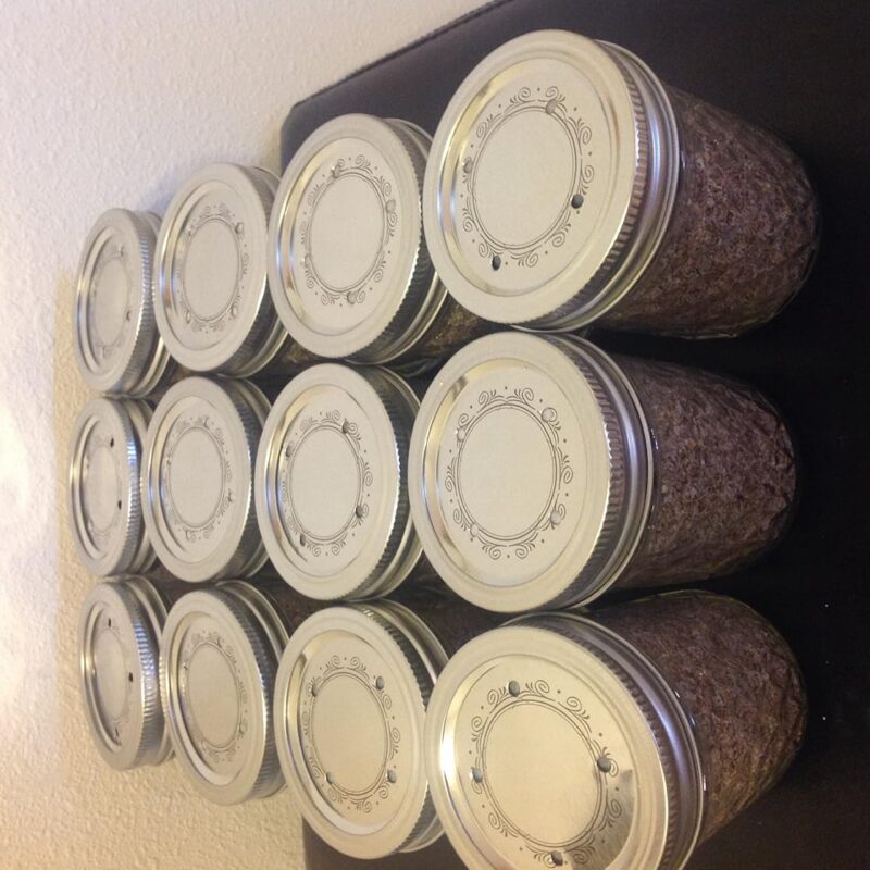 Brown Rice Flour&Vermiculite Mushroom Substrate 24 Jars 1/2 Pint Growing Kit