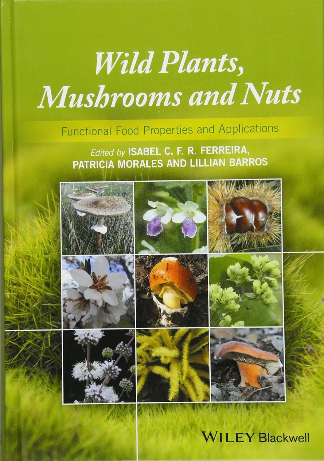 91Qr8NiB4fL._SL1500_.jpg Wild Plants, Mushrooms and Nuts: Functional Food Properties and Applications