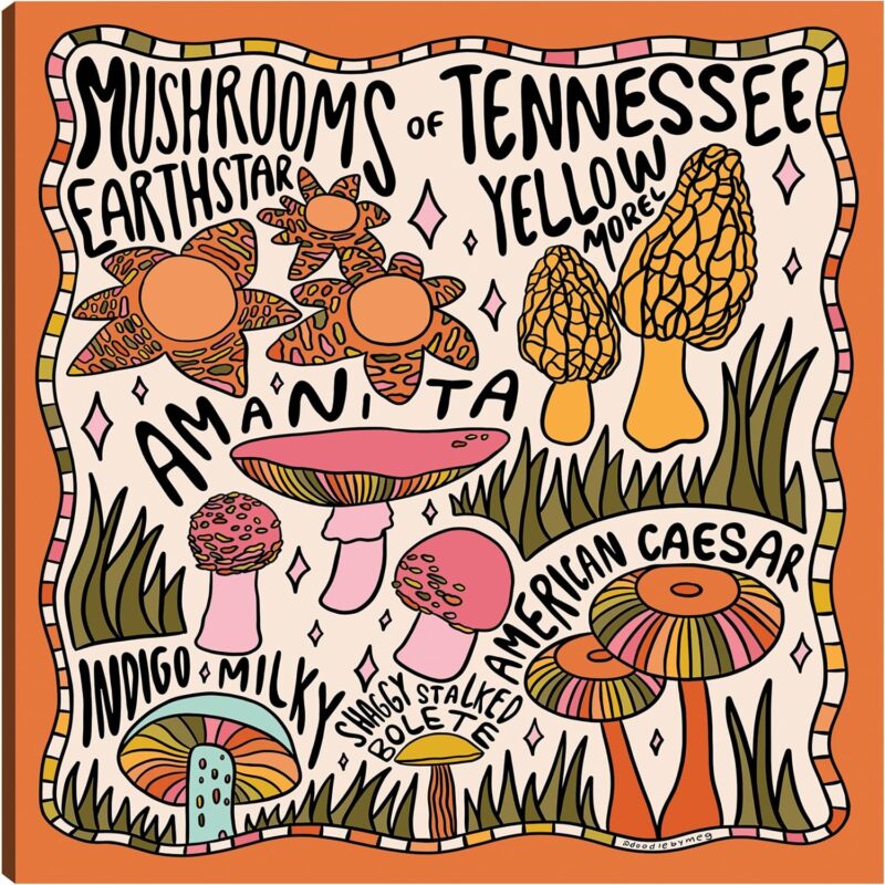 Fine Art Canvas Mushrooms Of Tennessee Canvas Wall Decor by Artist Doodle By Meg for Living Room, Bedroom, Bathroom, Kitchen, Office, Bar, Dining & Guest Room - Ready to Hang - 18 in x 18 in