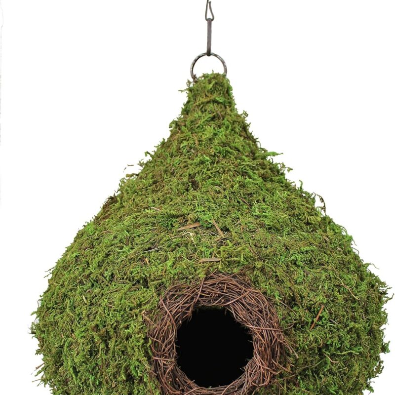 SuperMoss (56010) Raindrop Birdhouse with Chain, 10 by 13-Inch, Fresh Green