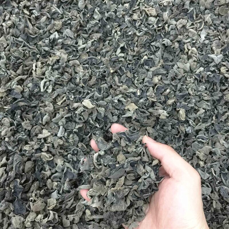 Generic Dried Dehydrated Natural Mu-er Small Black Fungus Black Wood Ear Fungus 小木耳 小雲耳 Free Worldwide Airmail (300 grams)