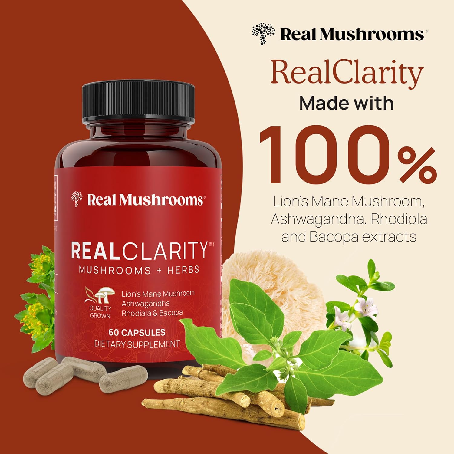 1749142458_81TXJyx5FUL._AC_SL1500_.jpg Real Mushrooms RealClarity (60ct) and Cordyceps (120ct) Capsules Bundle - Mushroom Supplement for Mental Clarity, Focus, Energy & Vitality - Vegan, Non-GMO, Verified Levels of Beta-Glucans - Image 2