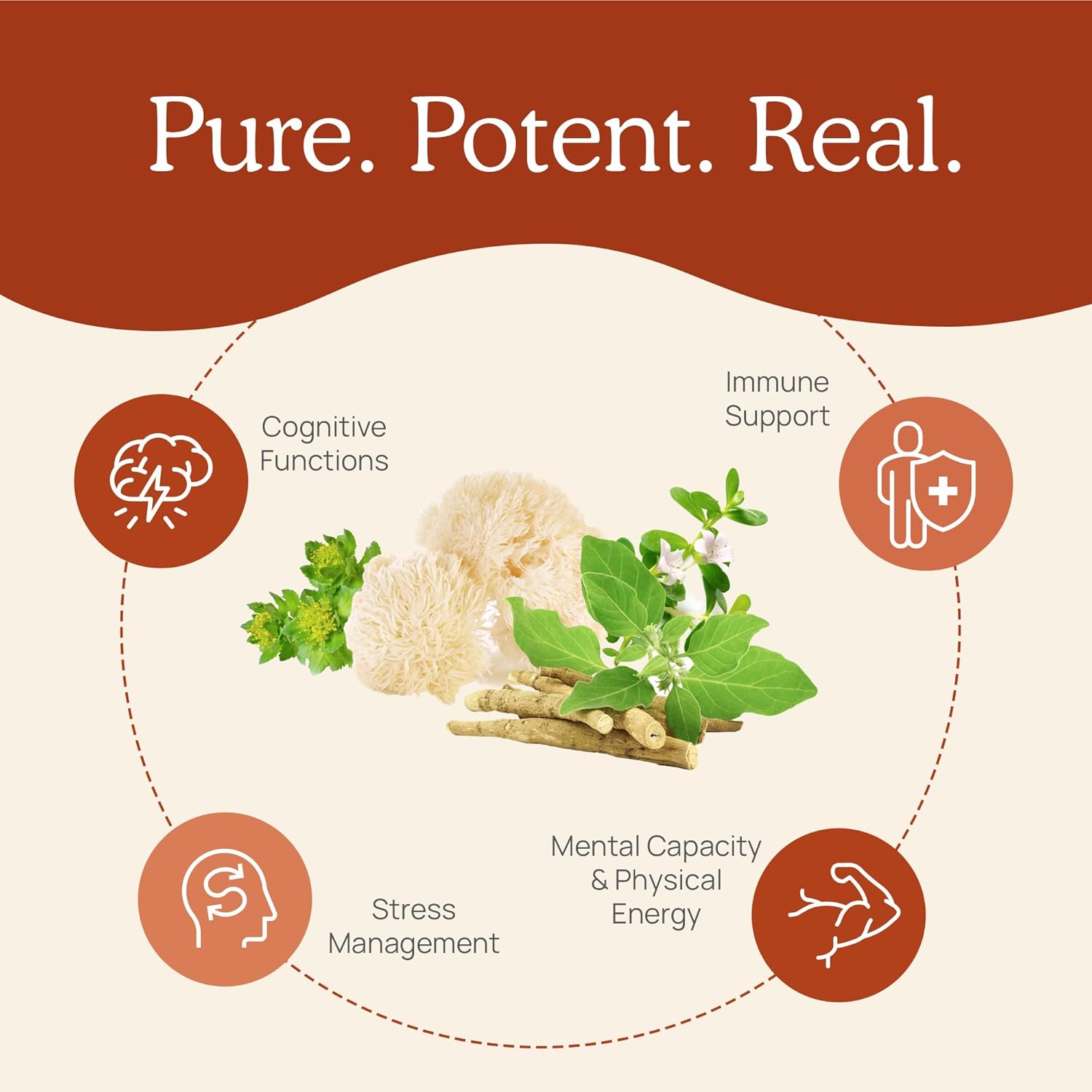 1749142465_71D5IUWGJaL._AC_SL1500_.jpg Real Mushrooms RealClarity (60ct) and Cordyceps (120ct) Capsules Bundle - Mushroom Supplement for Mental Clarity, Focus, Energy & Vitality - Vegan, Non-GMO, Verified Levels of Beta-Glucans - Image 4