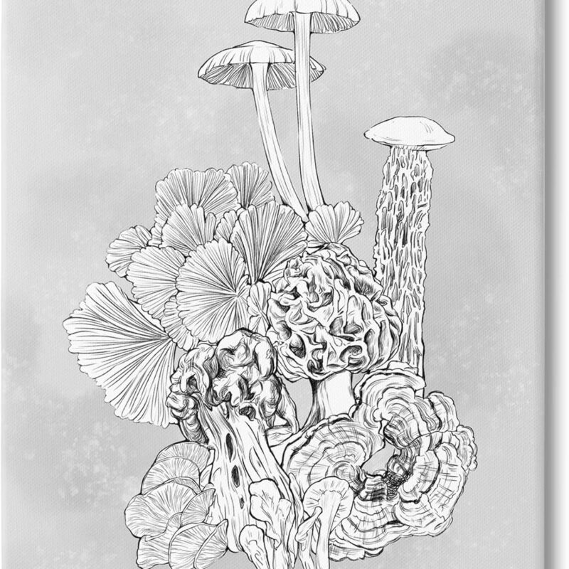 Stupell Industries Detailed Botanical Drawing Mushroom Proliferate Plant Study, Design by Ziwei Li