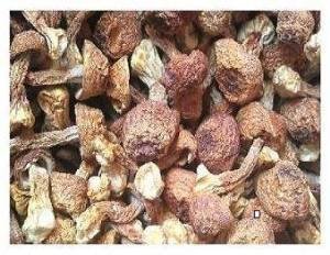 3 Pound (1362 grams)House Dried Agaricus Blazei Premium Grade from Yunnan China （中国云南）