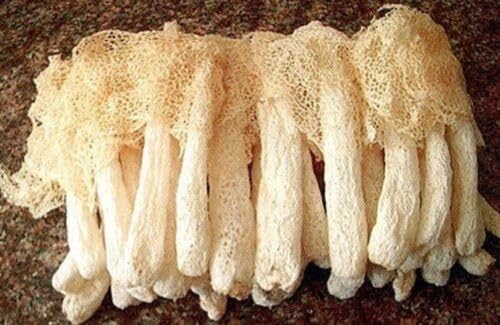 1 Pound (454 grams) Natural Bamboo Fungus Dried Mushroom from Yunnan China