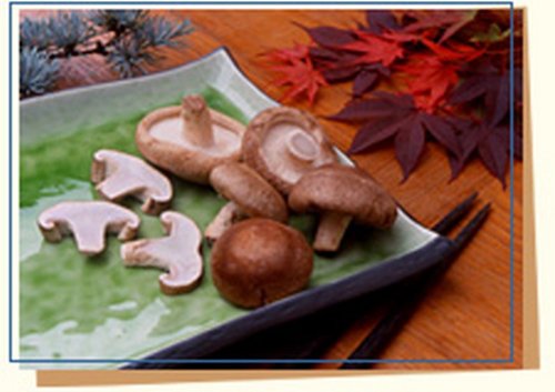 Organic Medium Shiitake Mushrooms - Bulk 5 Lb Unit, Premium Shiitake Mushrooms for Gourmet Chefs and Culinary Lovers