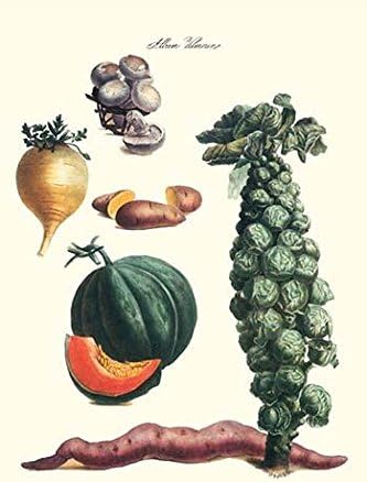 Vegetables brussel sprouts yam potato sweet cantelope melon mushroom Illustration from a famous French seed catalog and the vegetables that can be grown Poster Print by Philippe-Victoire Lev?que de