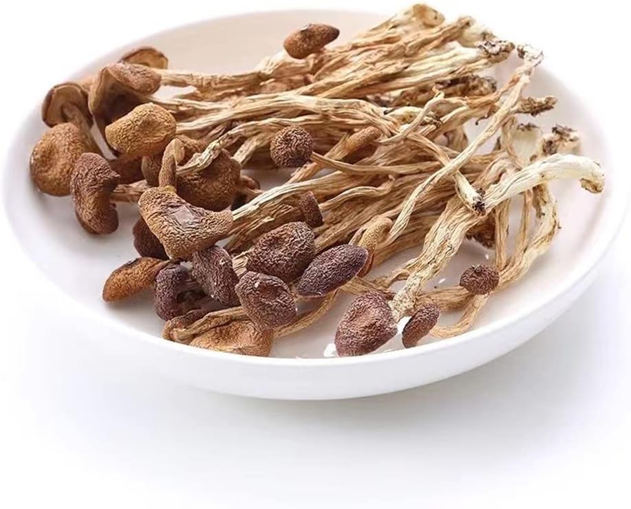 61H48jBS96L._AC_SL1000_.jpg Agrocybe Aegerila,Dried Tea Tree Mushroom,Tea Tree Mushrooms,Basidiomyceten Agrocybe Chashugu Huang,The Dried Tea Tree Mushrooms,ganchashugu,agrocybe Cylindracea,Agrocybe Chaxingu (1000grams)