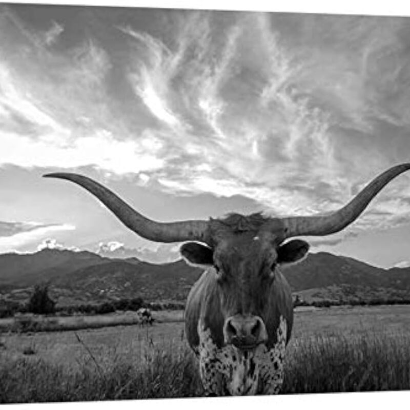 KREATIVE ARTS Black and White Texas Animal Canvas Wall Art Highland Cattle with Long Horns Picture Longhorn in Sunset Farm Painting for Home Decor Modern Living Room Decorations 24x36in