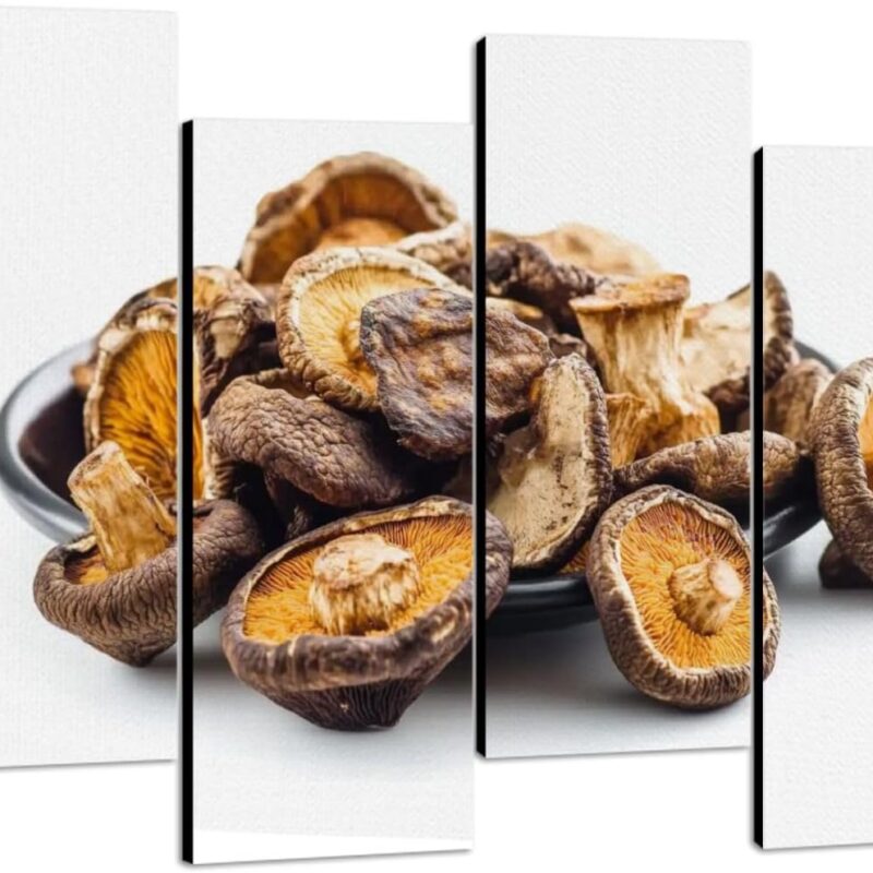 Canvas Wall Art Dried shiitake mushrooms white Photo Prints Realism Stretched & Framed Artworks Modern Wall Decor for Living Room Bedroom Office