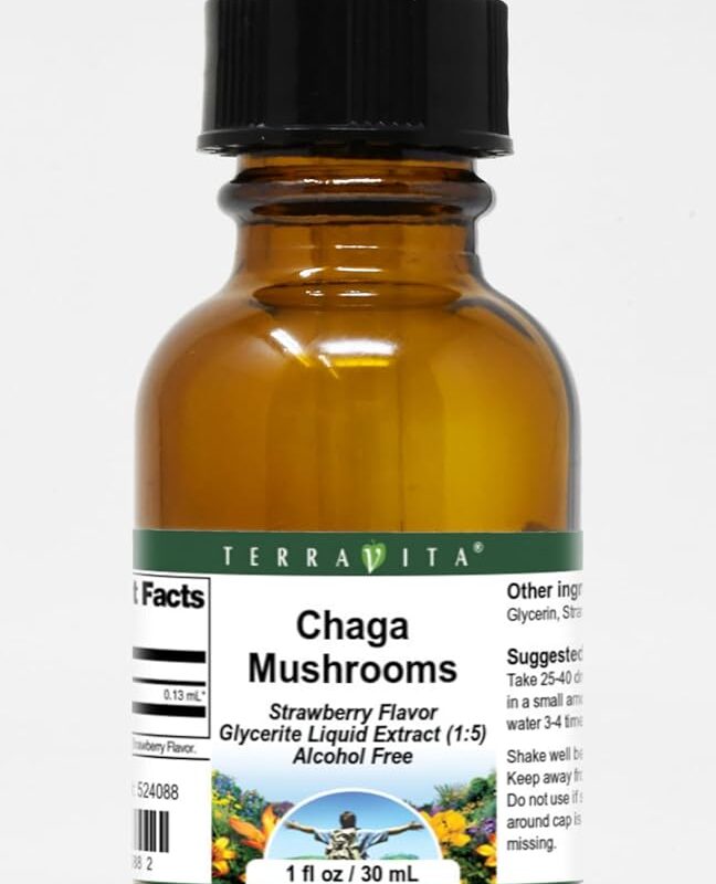 Chaga Mushrooms Glycerite Liquid Extract (1:5) - Strawberry Flavored (1 oz, ZIN: 524088)