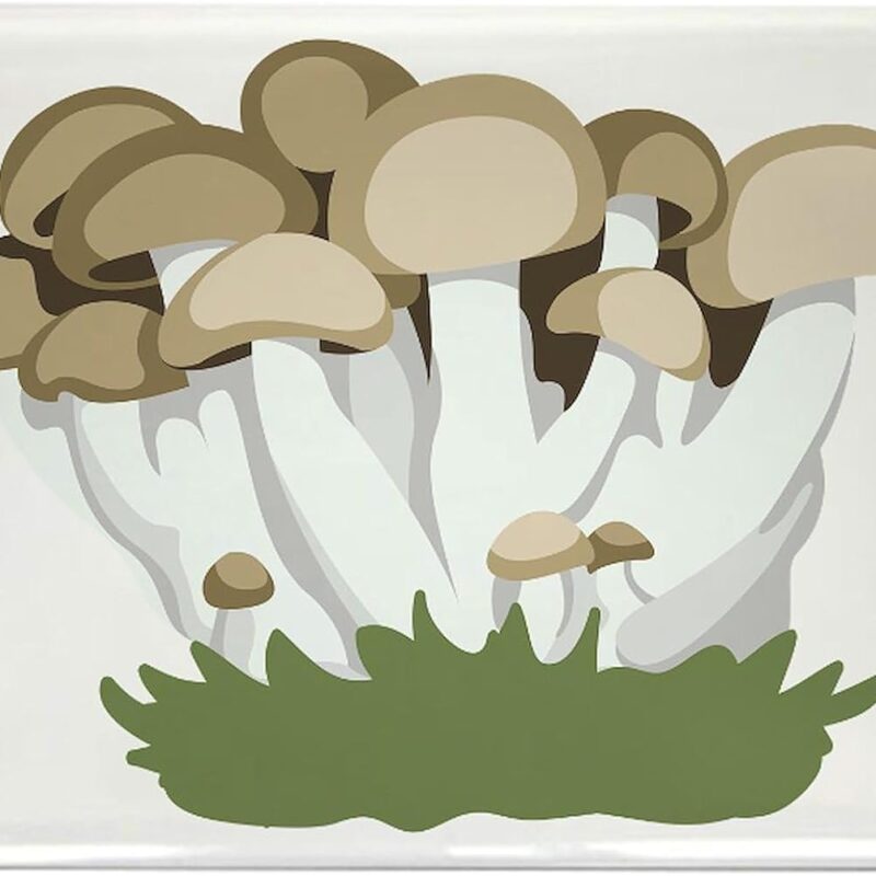CafePress Beech Mushrooms Magnets Rectangle Magnet (100 pack)