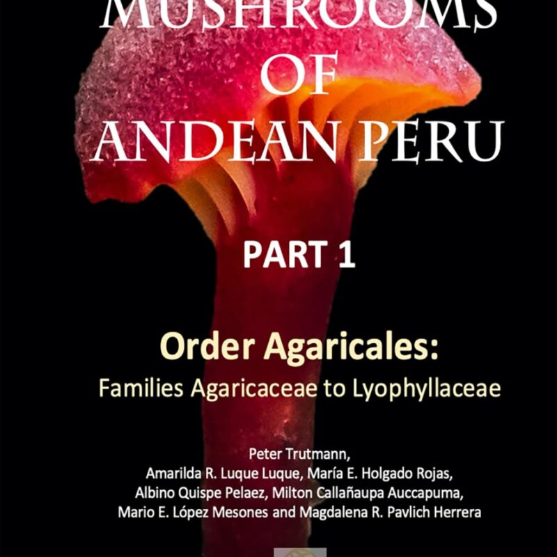 The mushrooms of Andean Peru: Part 1 Order Agaricales: Families Agaricaceae to Lyophyllaceae