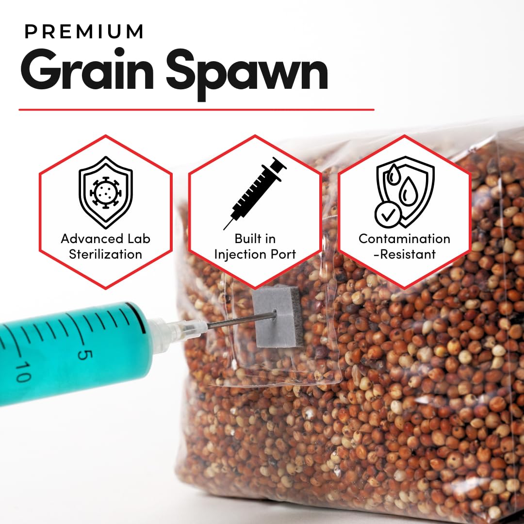 61pFVuBkHVL._SL1080_.jpg Mycelium Milo Grain Spawn | 4-Pack (3 lb Each) Pre-Sterilized Mushroom Grain Bags with Self-Healing Injection Ports & 0.2 Micron Filter | Ideal for Bulk Mycelium Growth & High-Yield Cultivation - Image 9