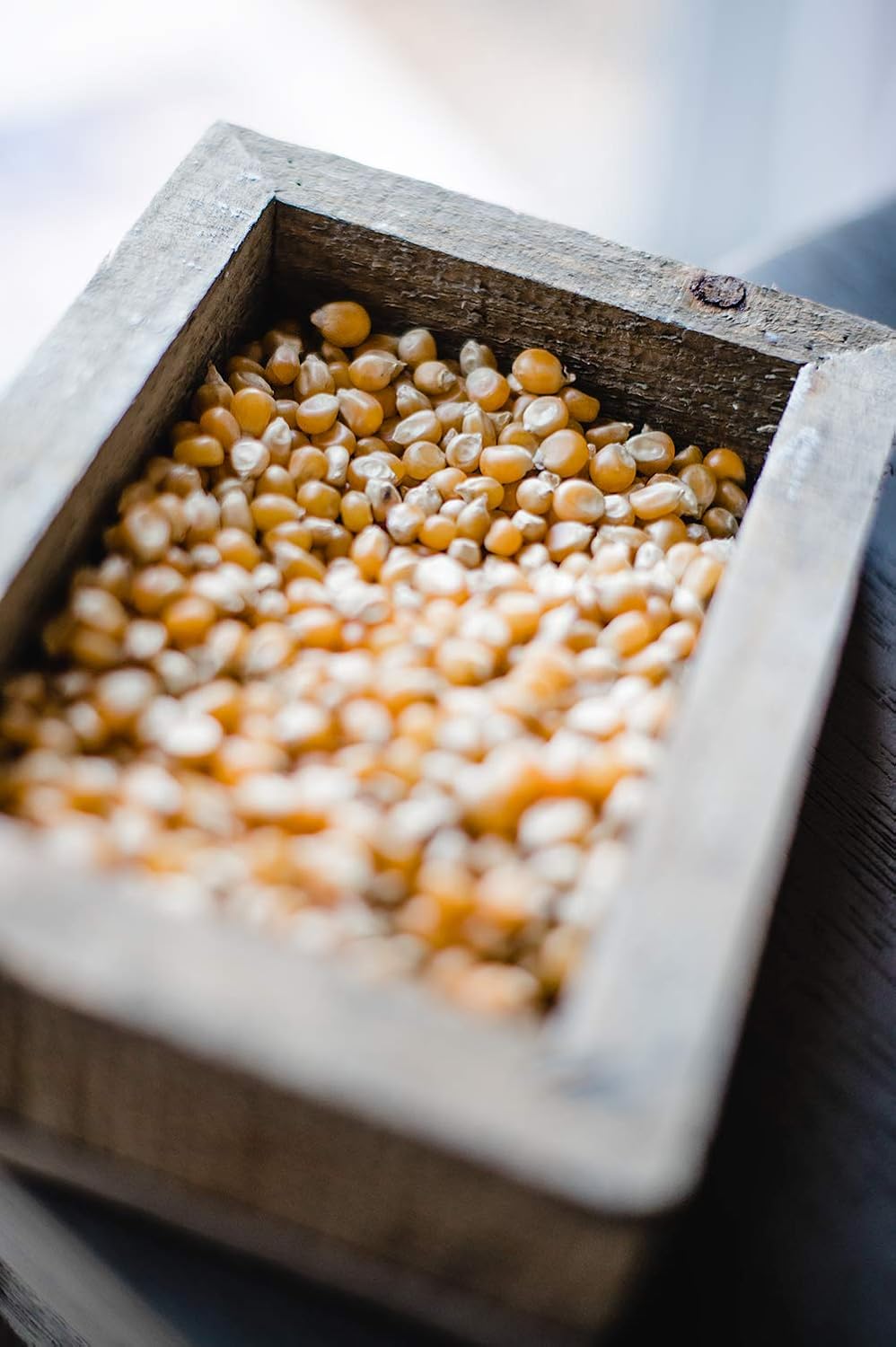 61x4w12RzmL._SL1500_.jpg Amish Country Popcorn | 50 Lb Bag Extra Large Caramel Type Kernels | Old Fashioned, Non-GMO and Gluten Free (50lb Bag) - Image 3