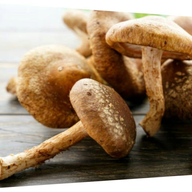 Canvas Wall Art for Living Room Bedroom Shiitake mushroom wooden table Big Large Wall Art Decor Framed Painting Wall Pictures Prints Artwork Office
